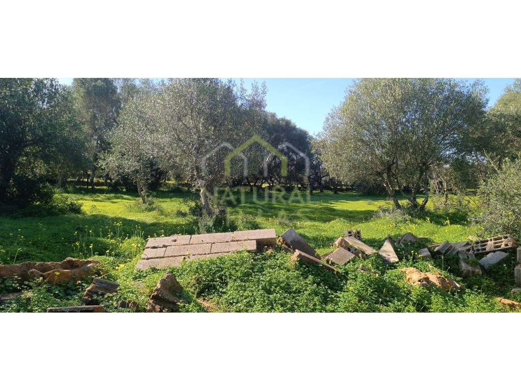 Terreno Plano e Ensolarado nas Proximidades de Quelfes, Olhão - Grande imagem: 2/7