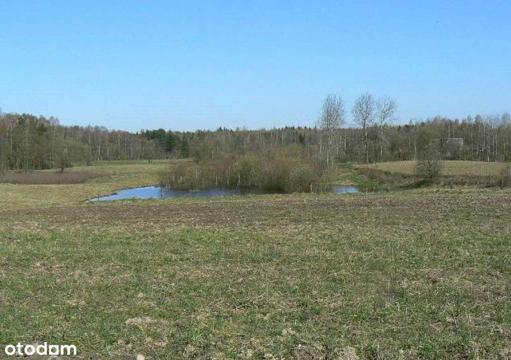 Darłowo . Rolna 4800 m2. Rzeka . Las . Morze . - Pełny obrazek: 4/20
