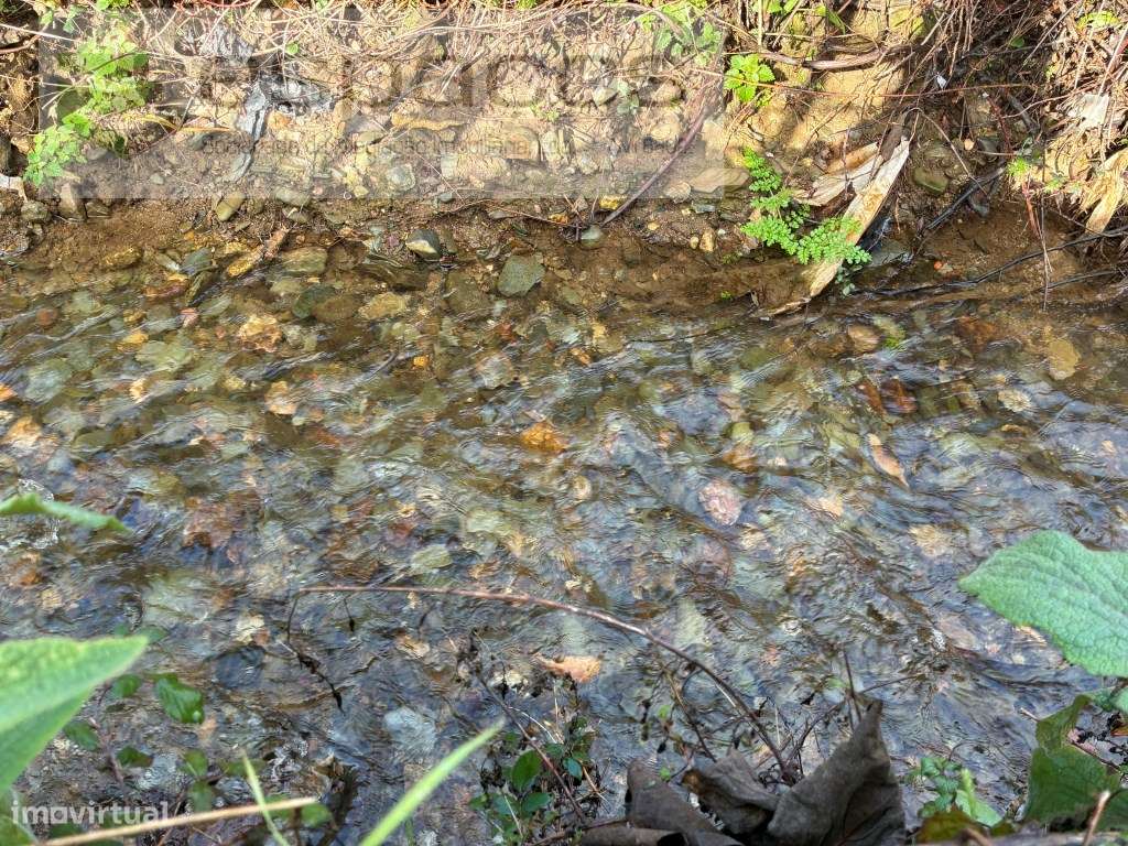 Magnifica Quinta a confinar com Rio Zêzere-23