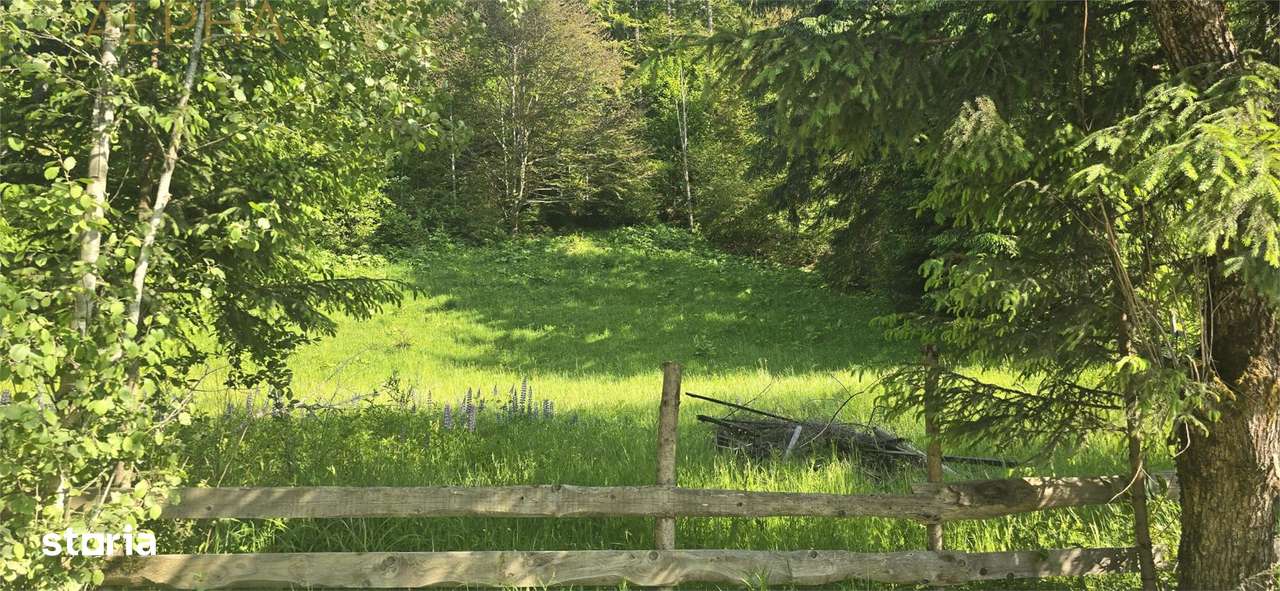 Teren intravilan de vanzare in Colibita - Imagine principală: 1/6