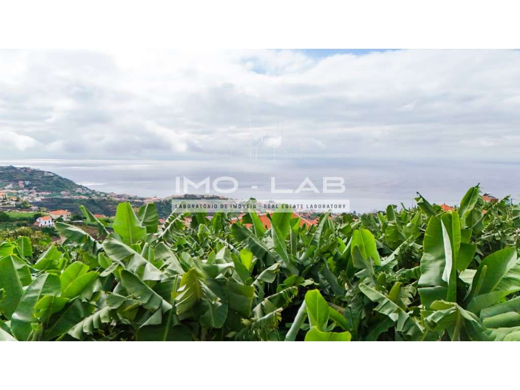 Terreno com 430m2 - Ponta do Sol-7