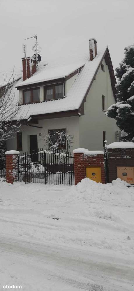 Bliźniak na sprzedaż-3