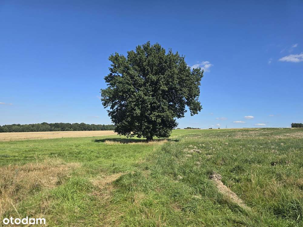 grunty rolne na sprzedaż, Bratków, Gmina Bogatynia-3