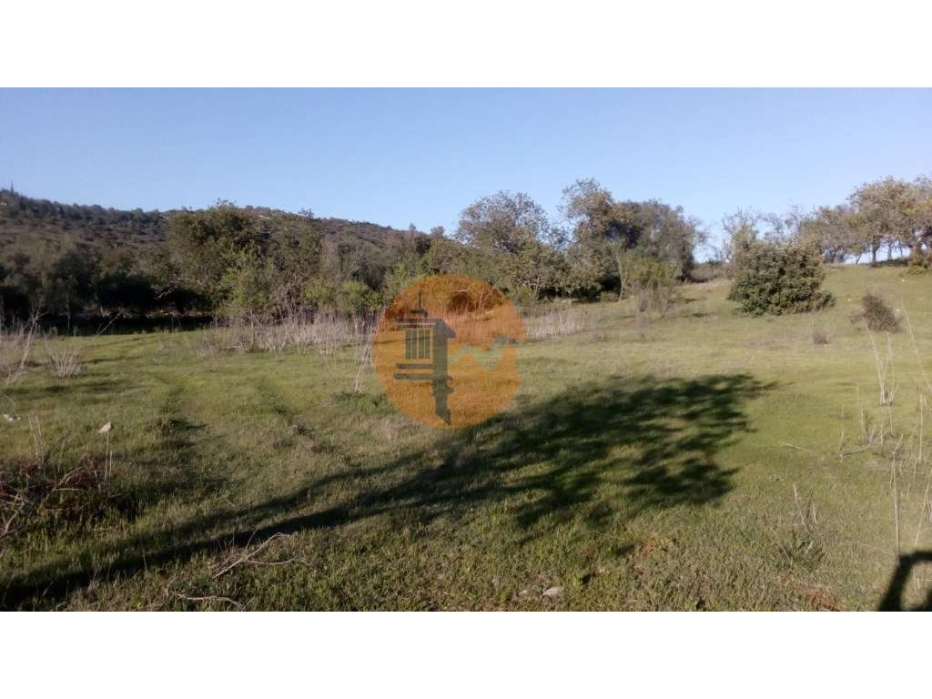 TERRENO RÚSTICO COM 11.200 M2 - PADERNE - ALBUFEIRA - ALGARVE - Grande imagem: 2/15