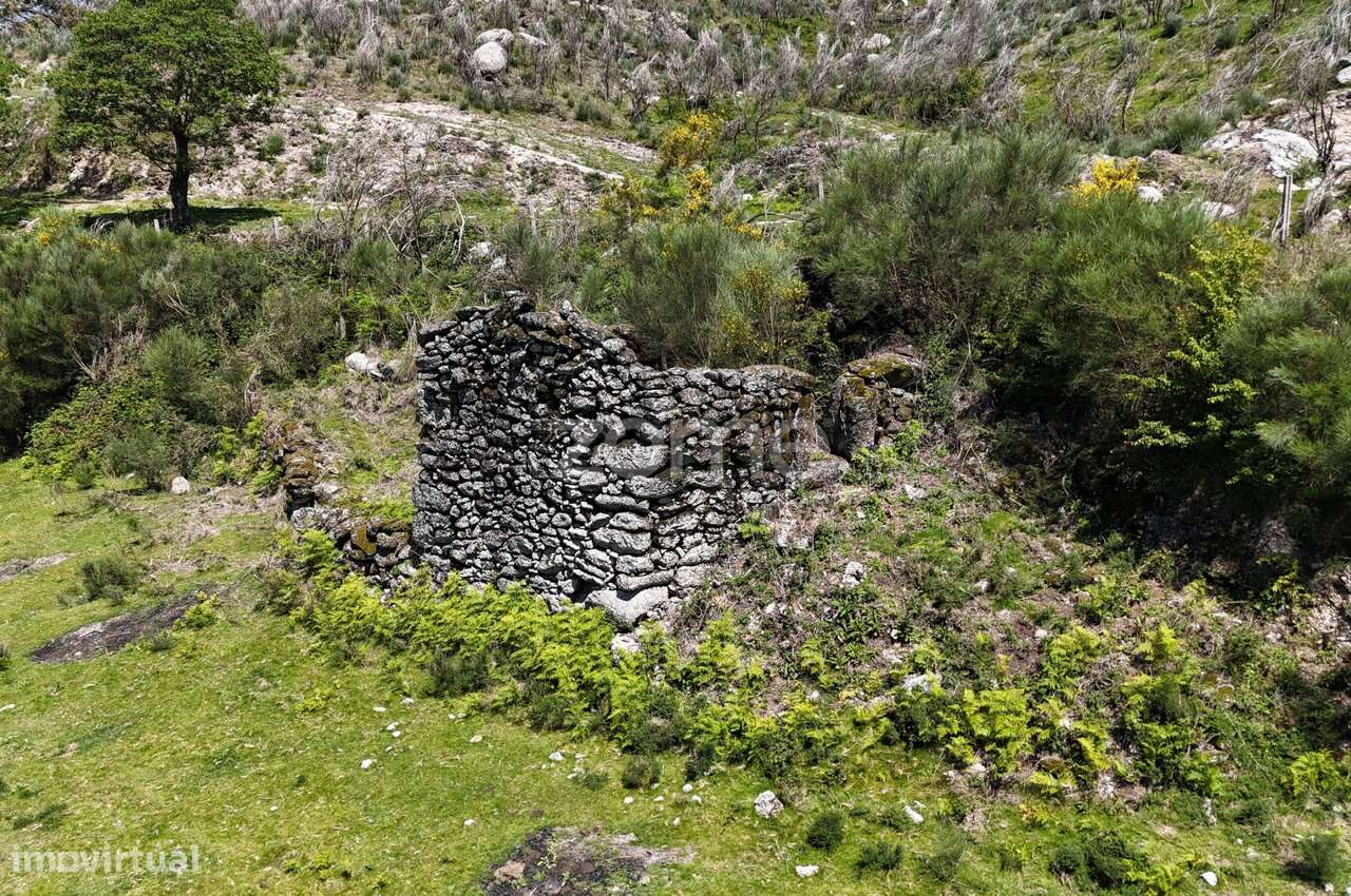 Terreno c/ruina Mixões da Serra-16