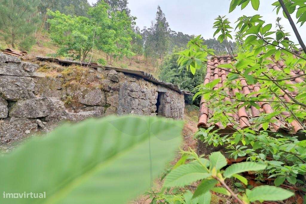 Quintinha em Escudeiros c/ aprox 3.200m2 e duas casas-20