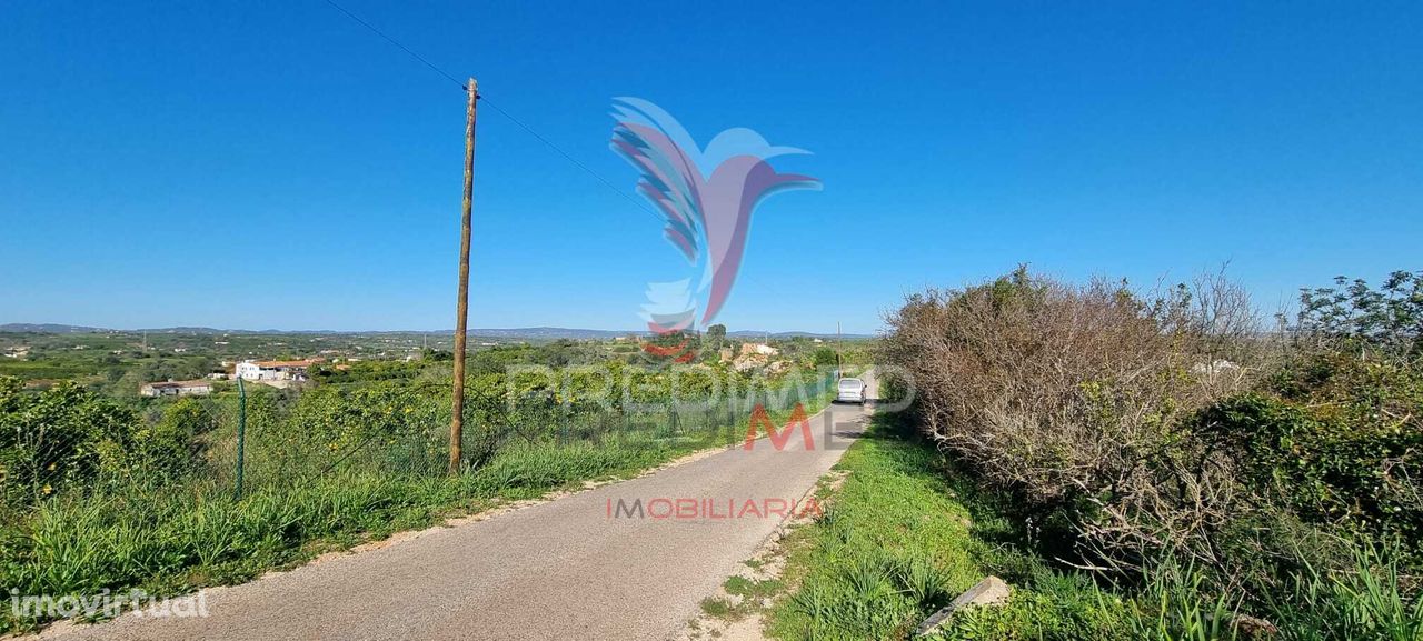 Terreno Rustico com pomar e furo de agua