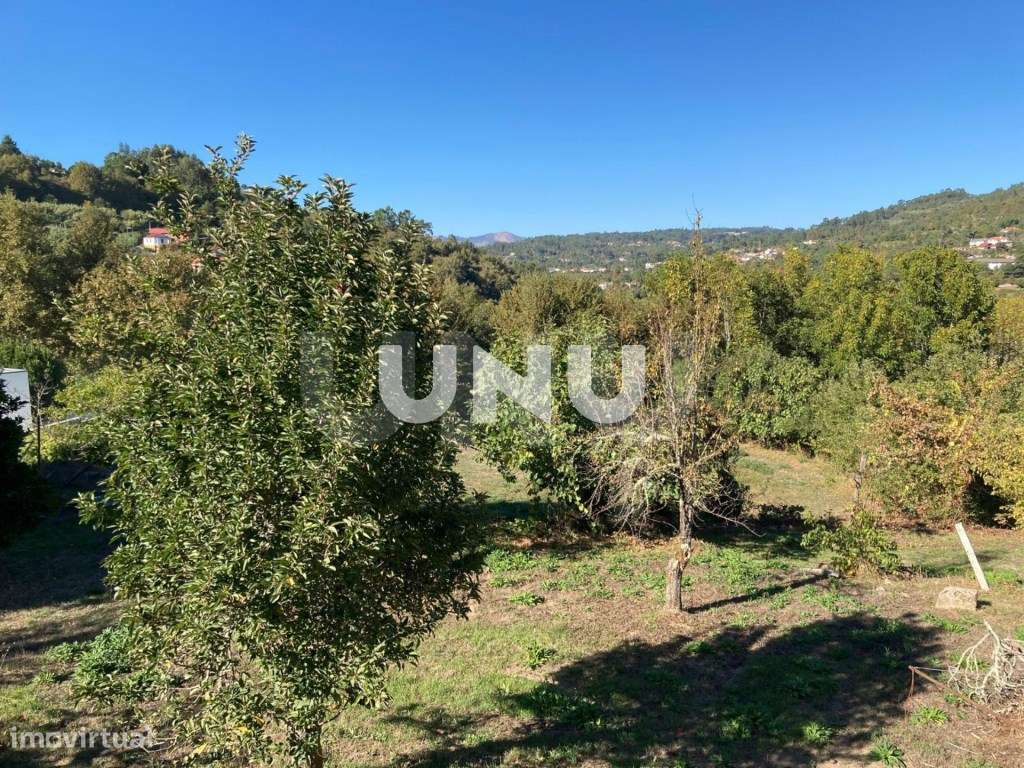 Quinta - Rodeada de Natureza-56