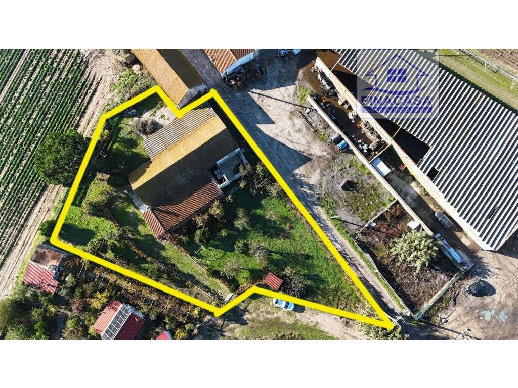 EXCLUSIVO - Quinta com 2069 m2, T1 e um armazém - Asseiceira(Palmela)-55