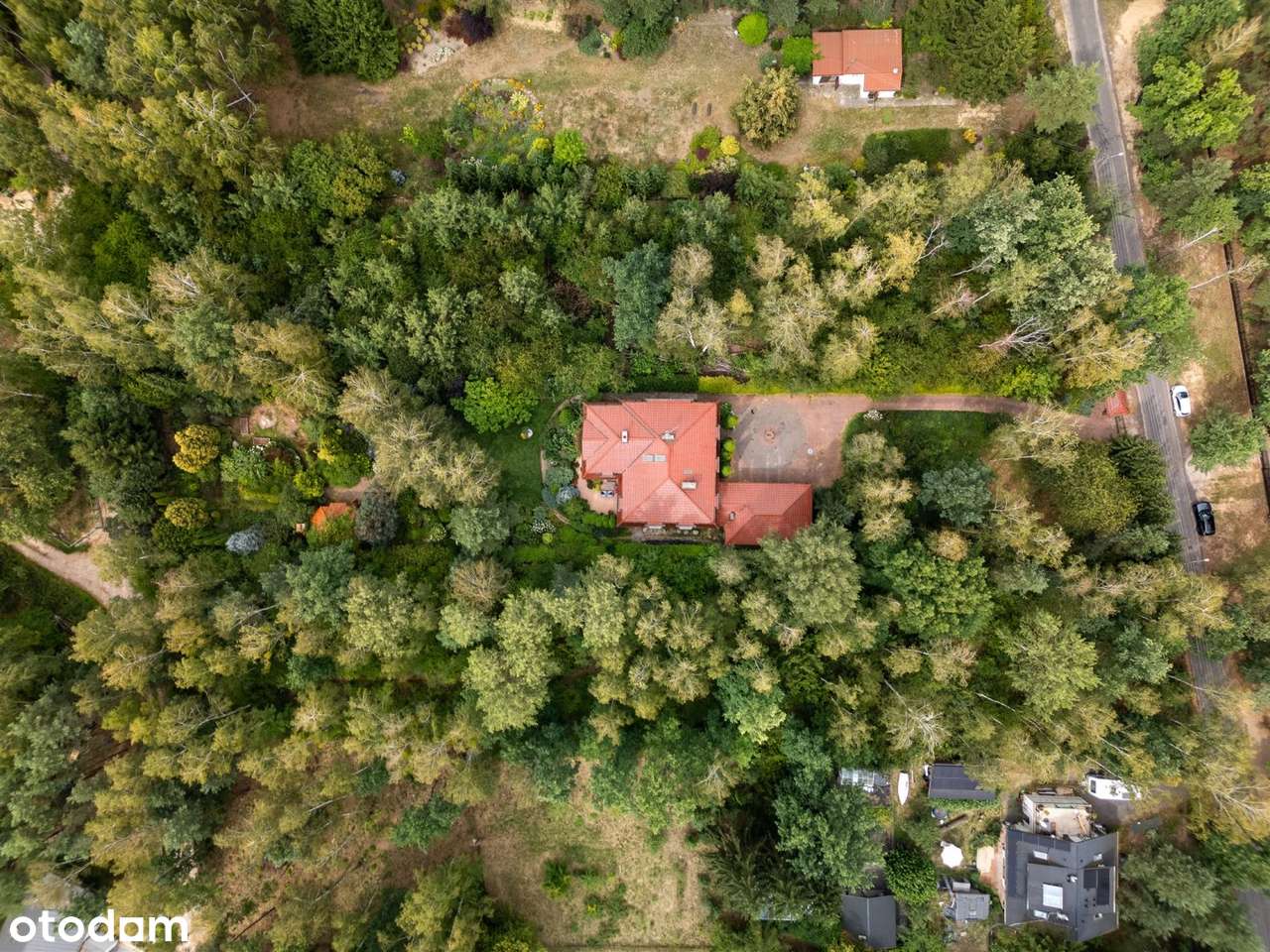 unikatowy ogród | otoczenie lasu | podkowa leśna-8