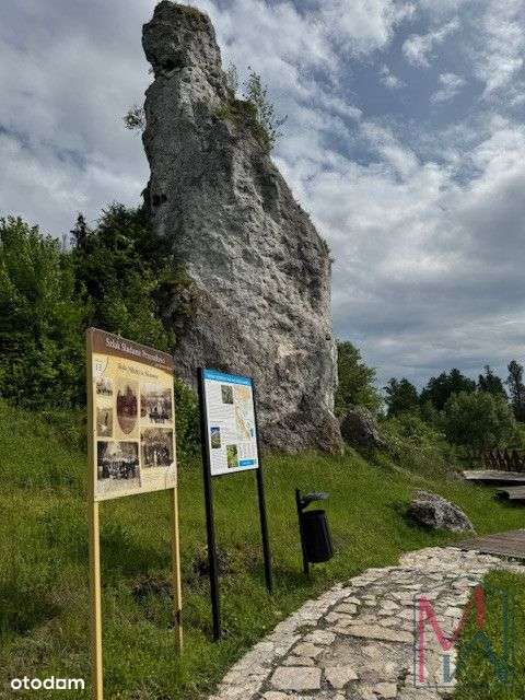 Tereny usługowo - mieszkaniowe w zielonej okolicy blisko Częstochowy-17