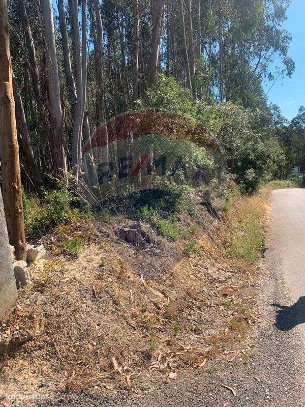 Terreno  para venda - Grande imagem: 4/5