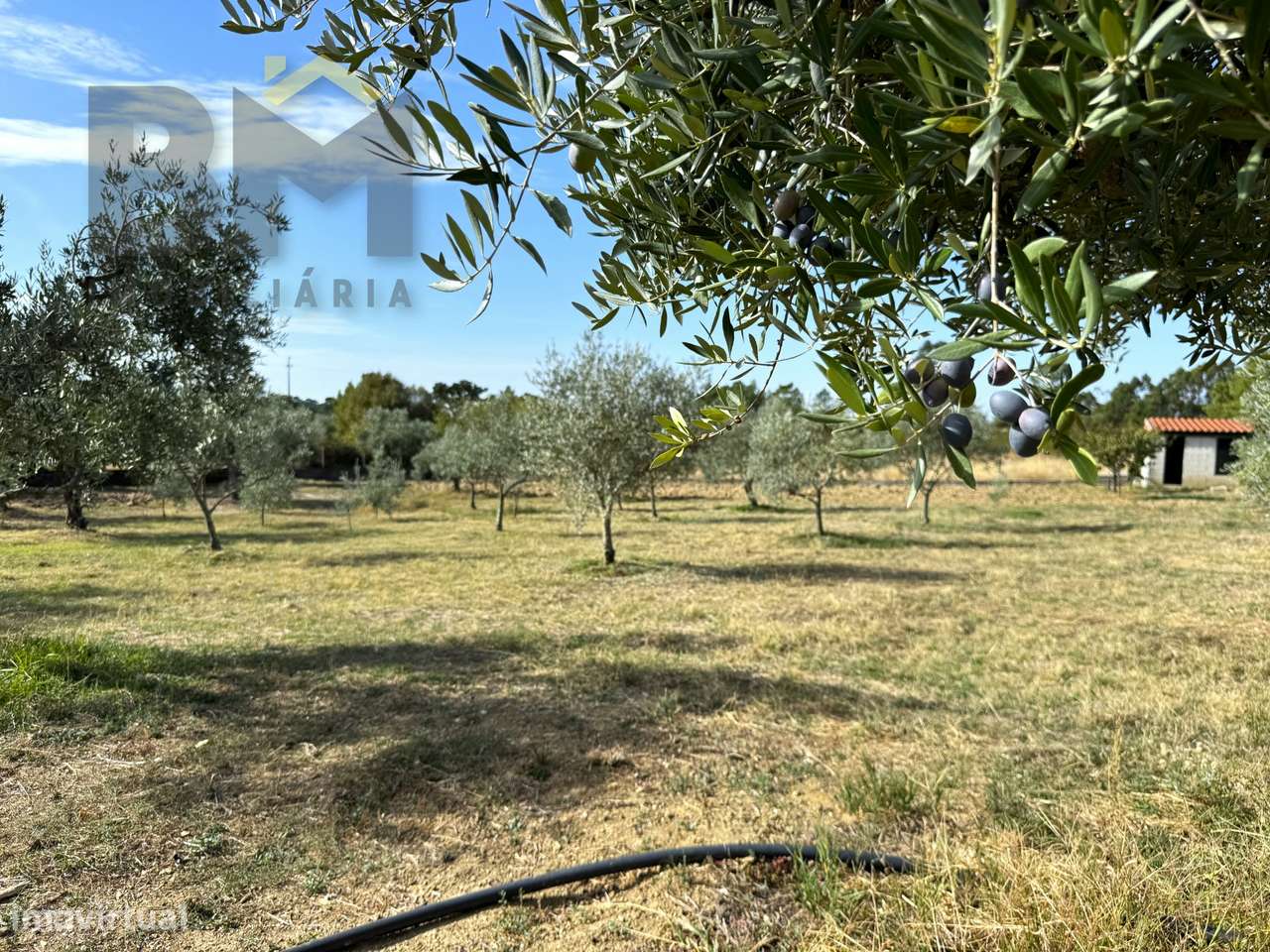 Quintinha  Venda em Cebolais de Cima e Retaxo,Castelo Branco-11