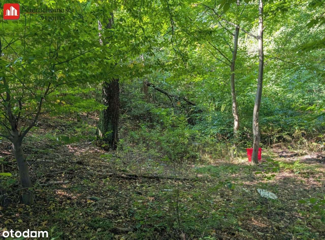 Atrakcyjna działka rekreacyjna 10a, Janowice - Pełny obrazek: 4/9