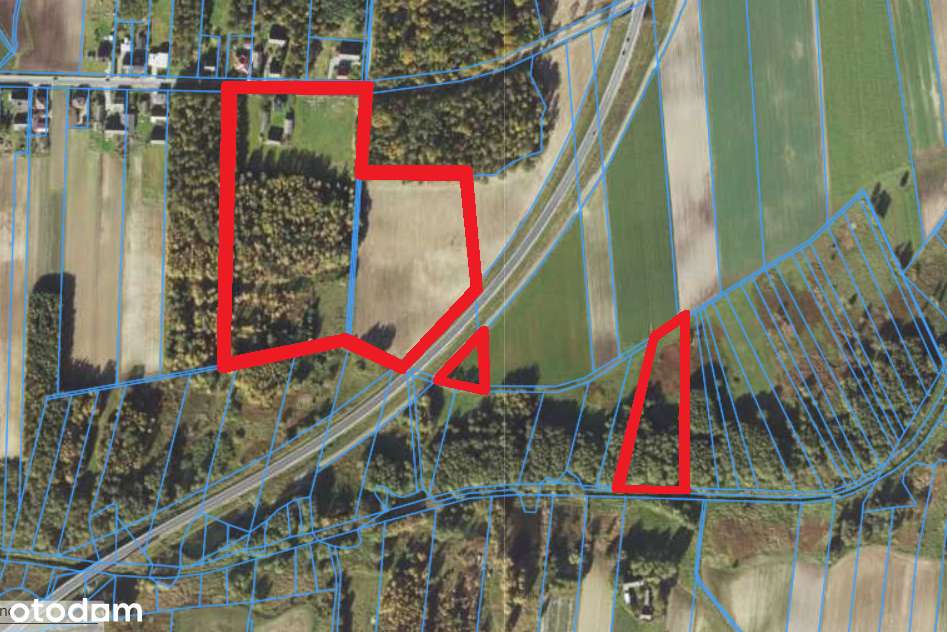 Siedlisko / ranczo / gospodarstwo / dom 6,4 ha + las + staw + zabudow. - Pełny obrazek: 3/5