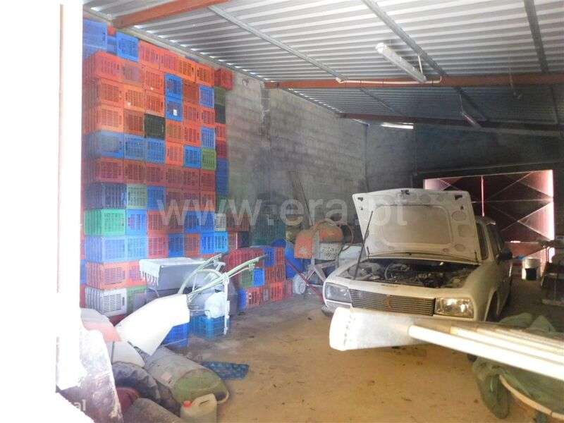 Quintinha / Fundão, Alpedrinha - Grande imagem: 4/13