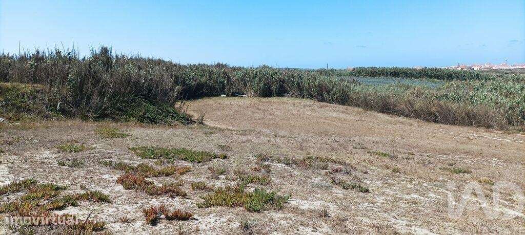 Terreno em Ferrel de 3440,00 m2 - Grande imagem: 5/30