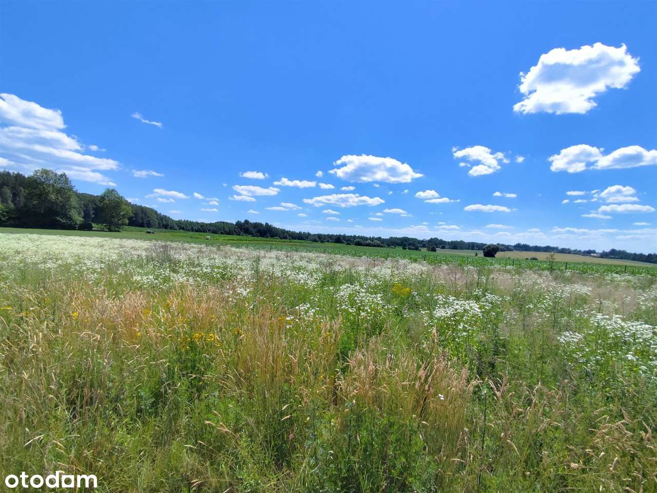 Sliczne działki 3000/5000m2 10km do Białegostoku-6