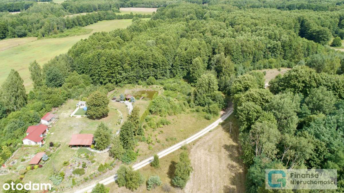 Działka położona w zielonej okolicy, Nowe Byliny - Pełny obrazek: 4/15