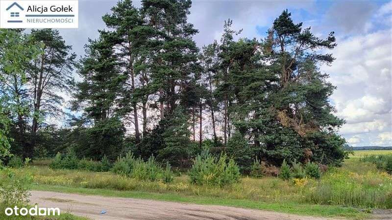 Biały Bór - Kaliska - działka budowlana o pow. 1.2-5