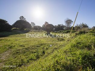 Terreno Agrícola com parcela destacada para construção - Grande imagem: 3/25