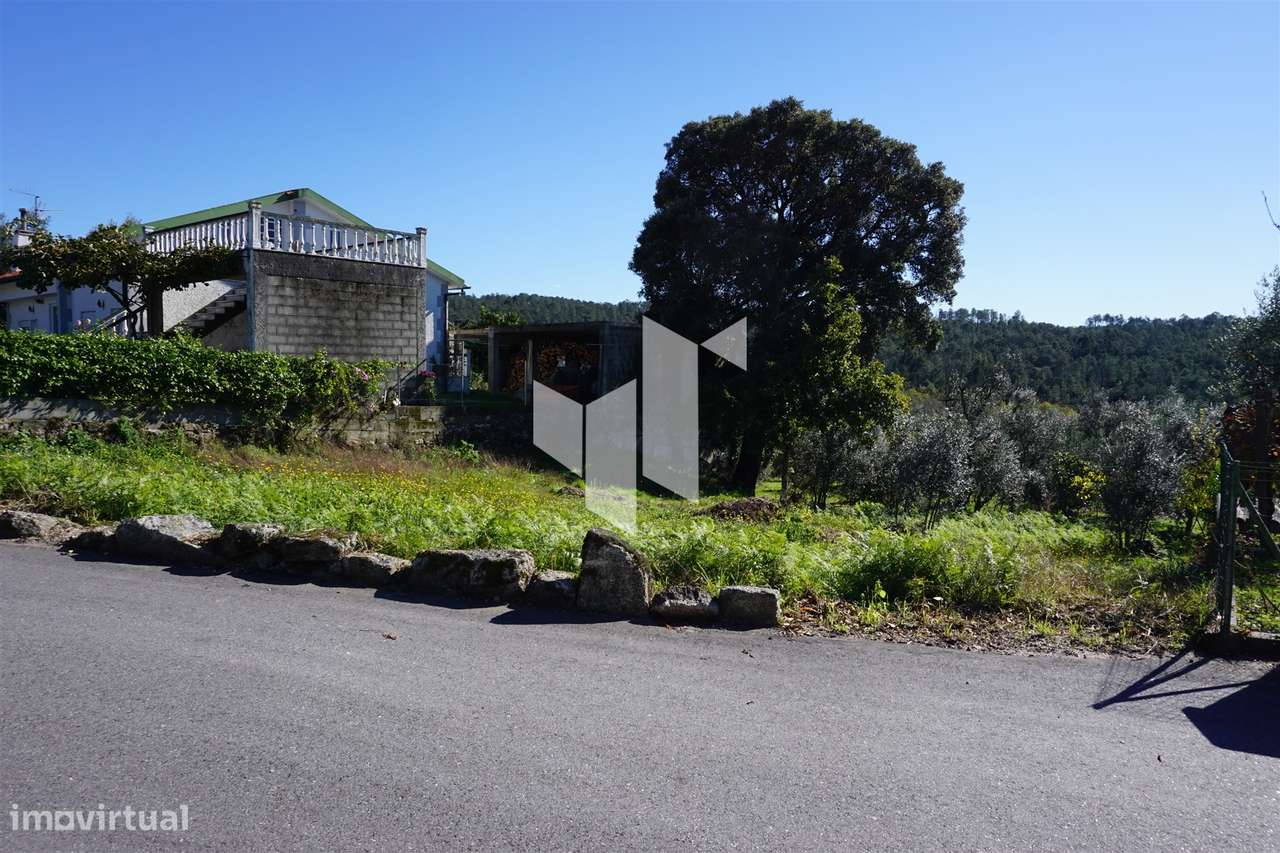 Terreno Rústico  Venda em Calde,Viseu - Grande imagem: 2/6