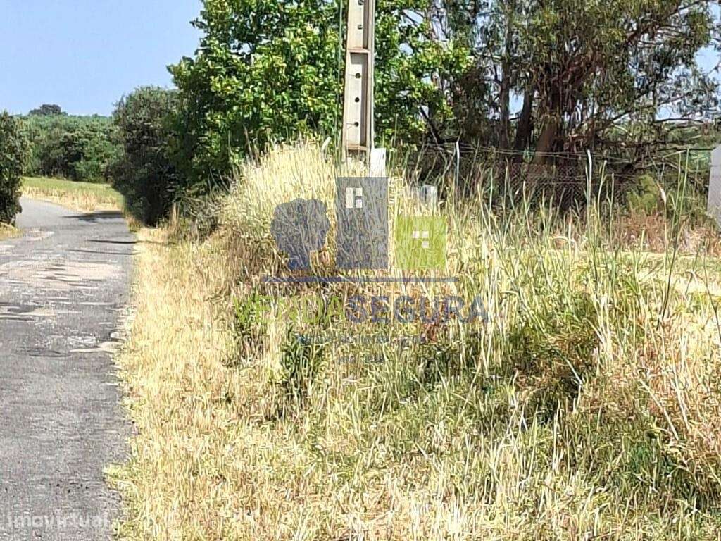 Herdade | Sobral da Adiça-13