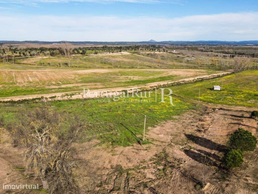 Quinta com casa de habitação T5 e diversas construções-10