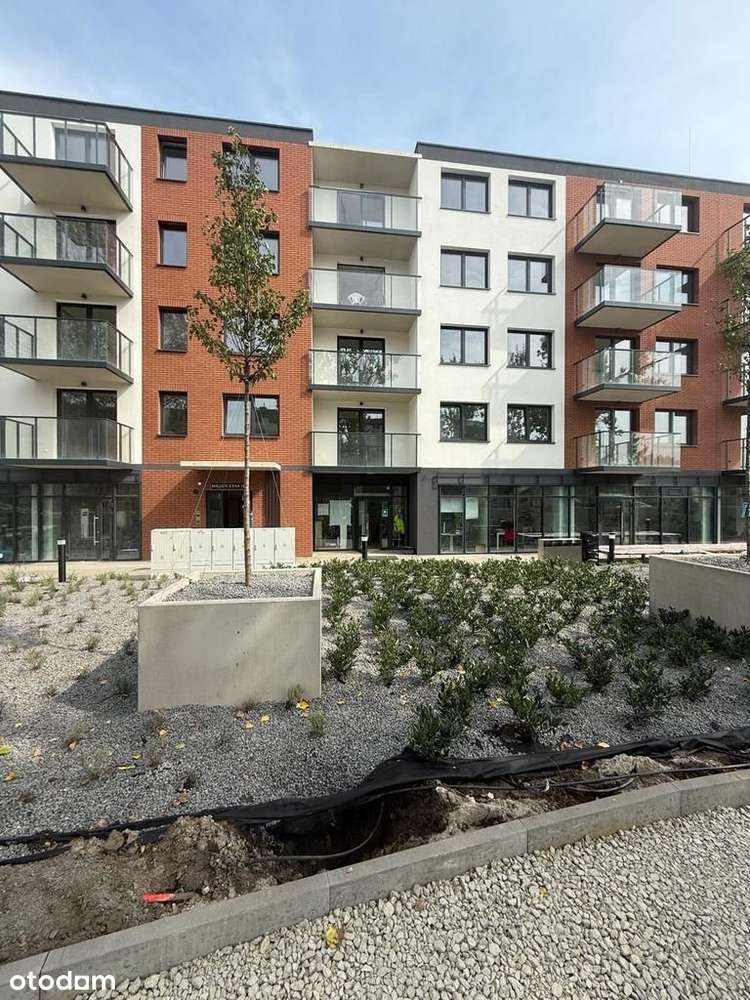 Lokal | witryna | 59m2 | między Hertem a Blumisiem - Pełny obrazek: 5/11