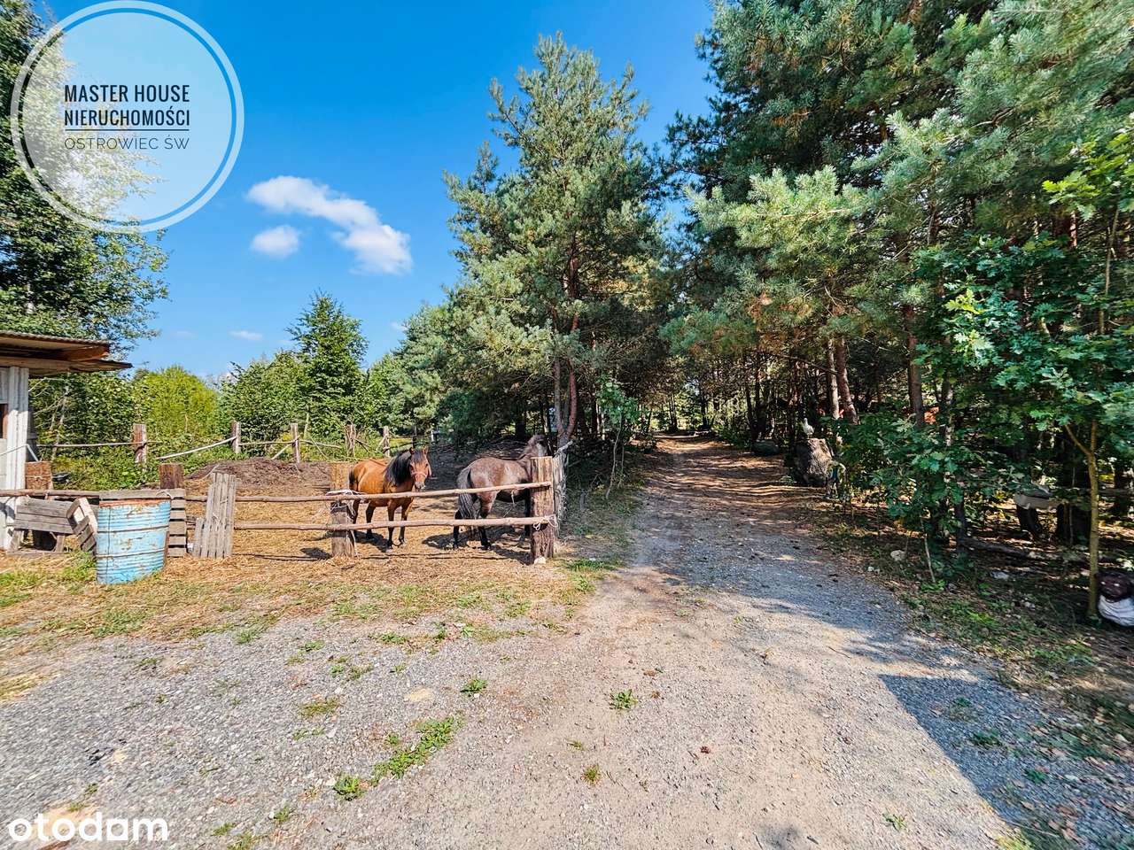 Dom z agroturystyką i 2 ha ziemi – idealna inwestycja! - Pełny obrazek: 5/16