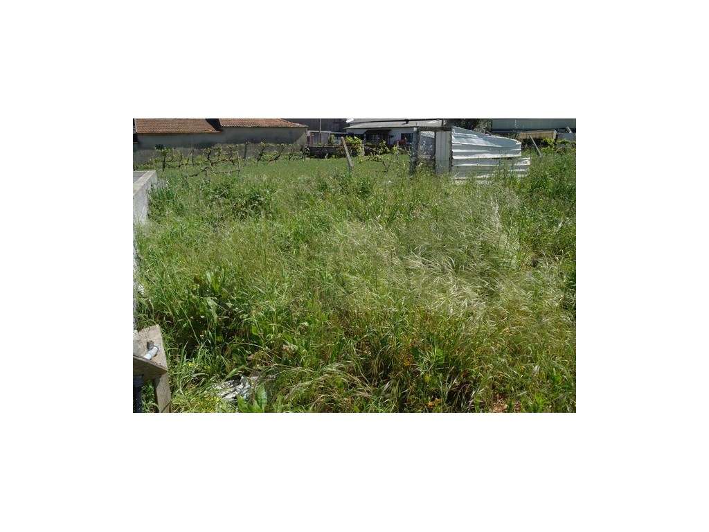 Lote de terreno -Cacia - Grande imagem: 2/4