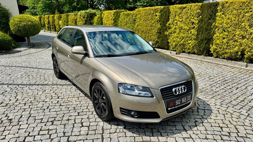 Audi A3 8P 2009