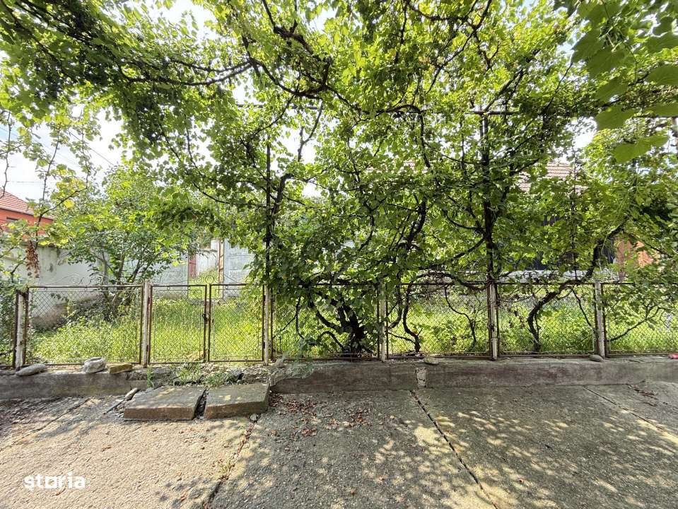 CASA TRADITIONALA - DACIA | LA 8 KM DE VISCRI - PATRIMONIU UNESCO-9