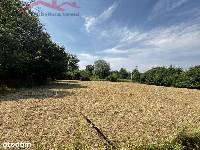 Działka w Kostarowcach - gmina Sanok - Pełny obrazek: 5/7