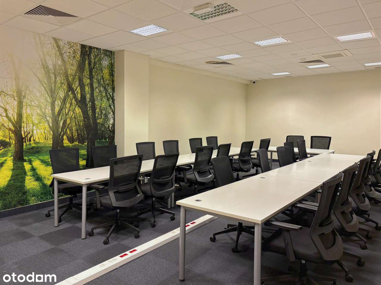 Bez prowizji! Biuro 362 m² przy autostradzie A4 | Katowice-12