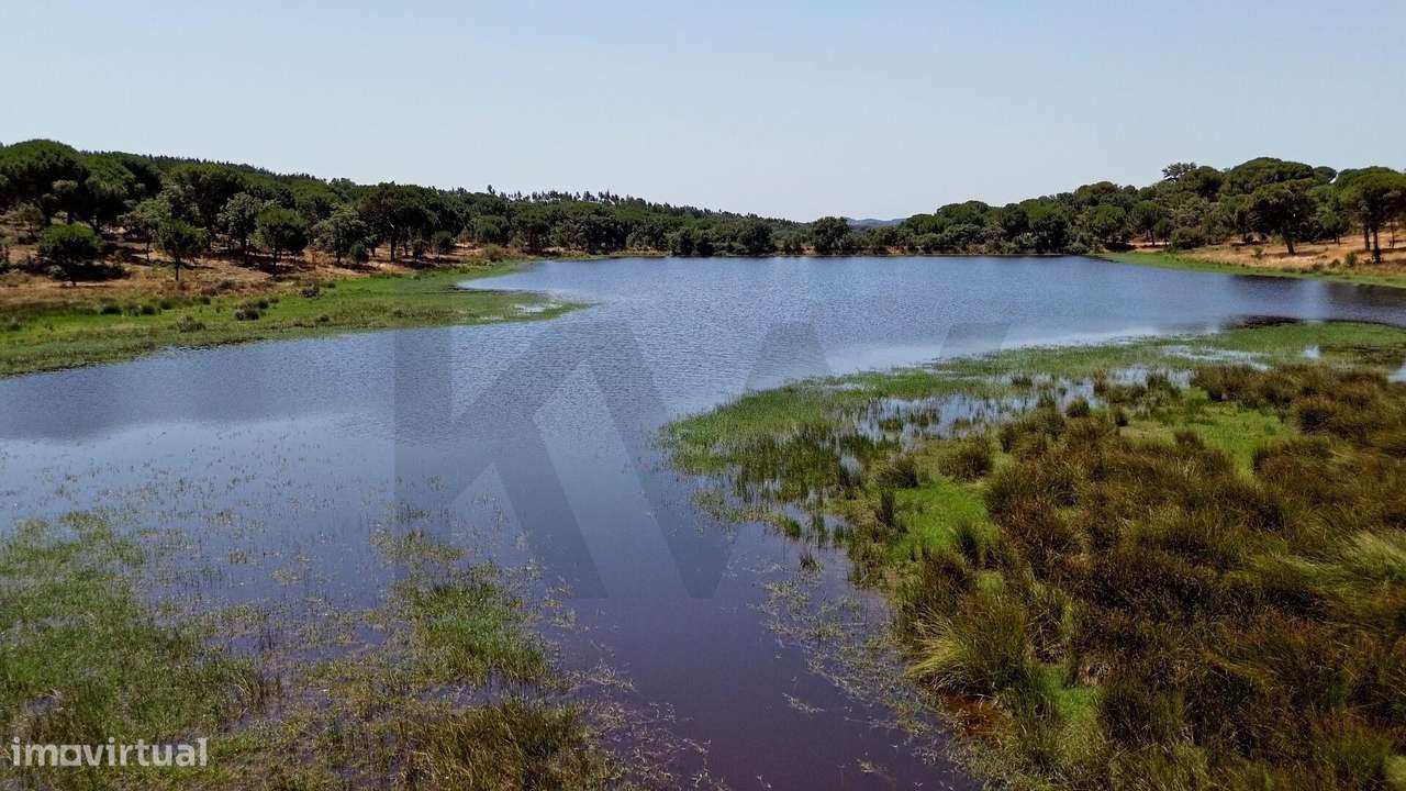 HERDADE de Vale de Alcácer, um paraíso de oportunidades e rentabilidad - Grande imagem: 1/60