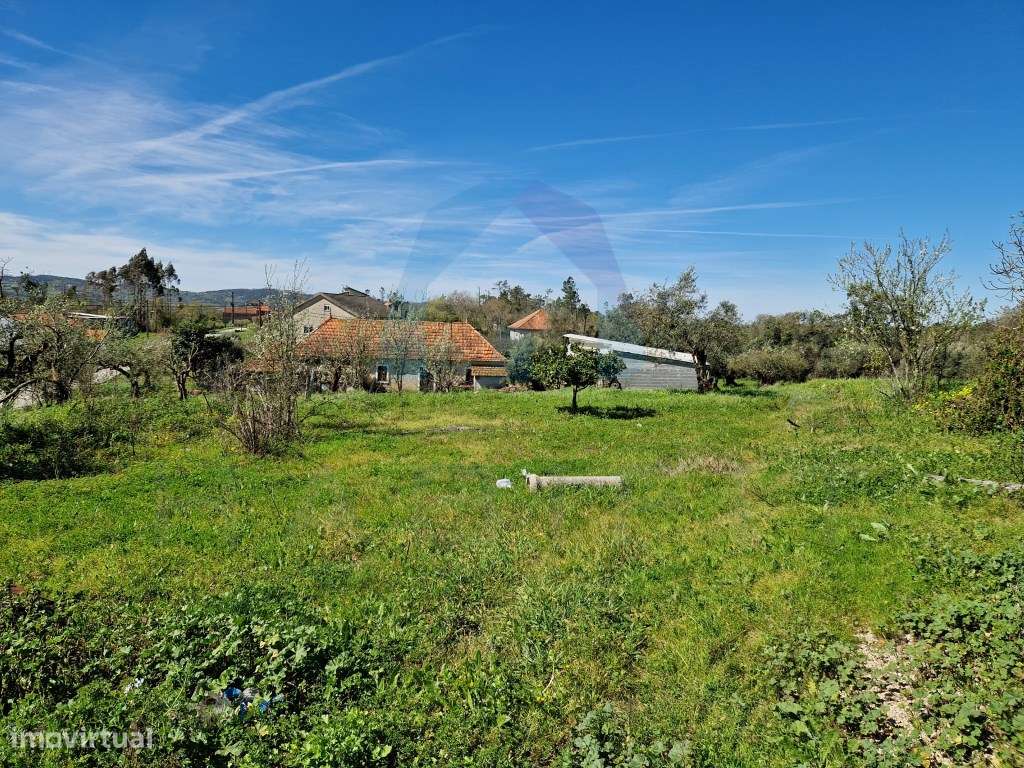 Terreno com Viabilidade de Construção - Pombal - Grande imagem: 4/5