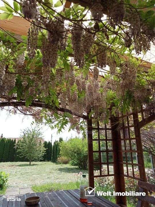 Ocazie! Teren intravilan cu utilitati  in Aiton la 30 min. de centru C - Imagine principală: 4/13