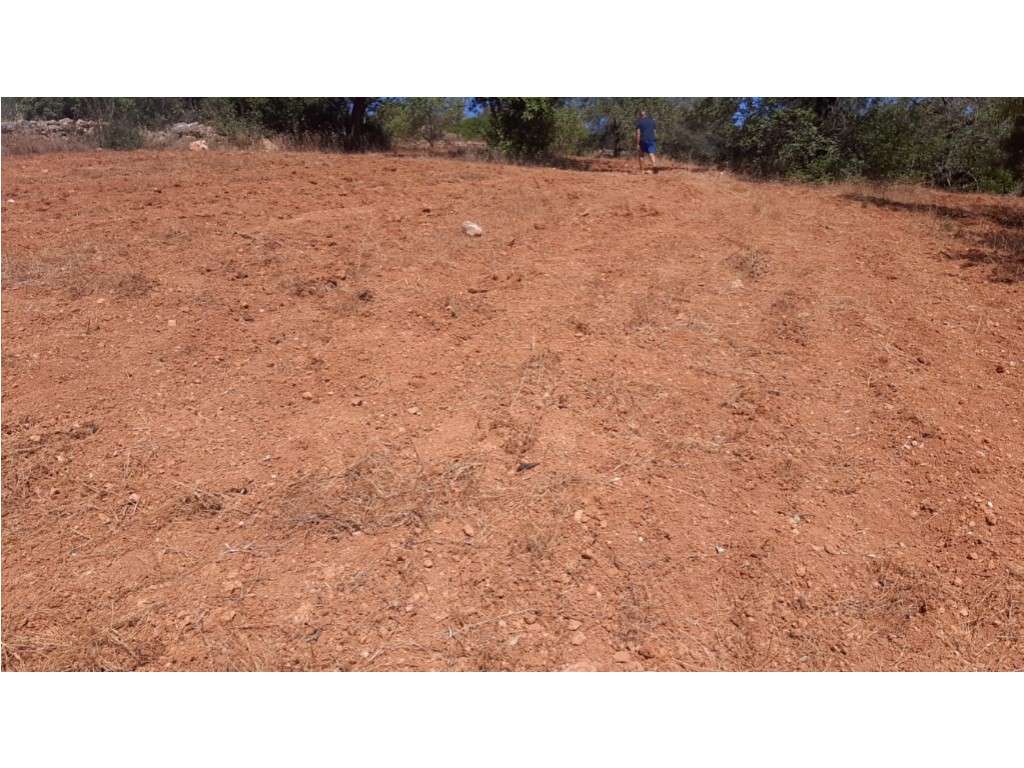 Terreno Rustico - Grande imagem: 2/6