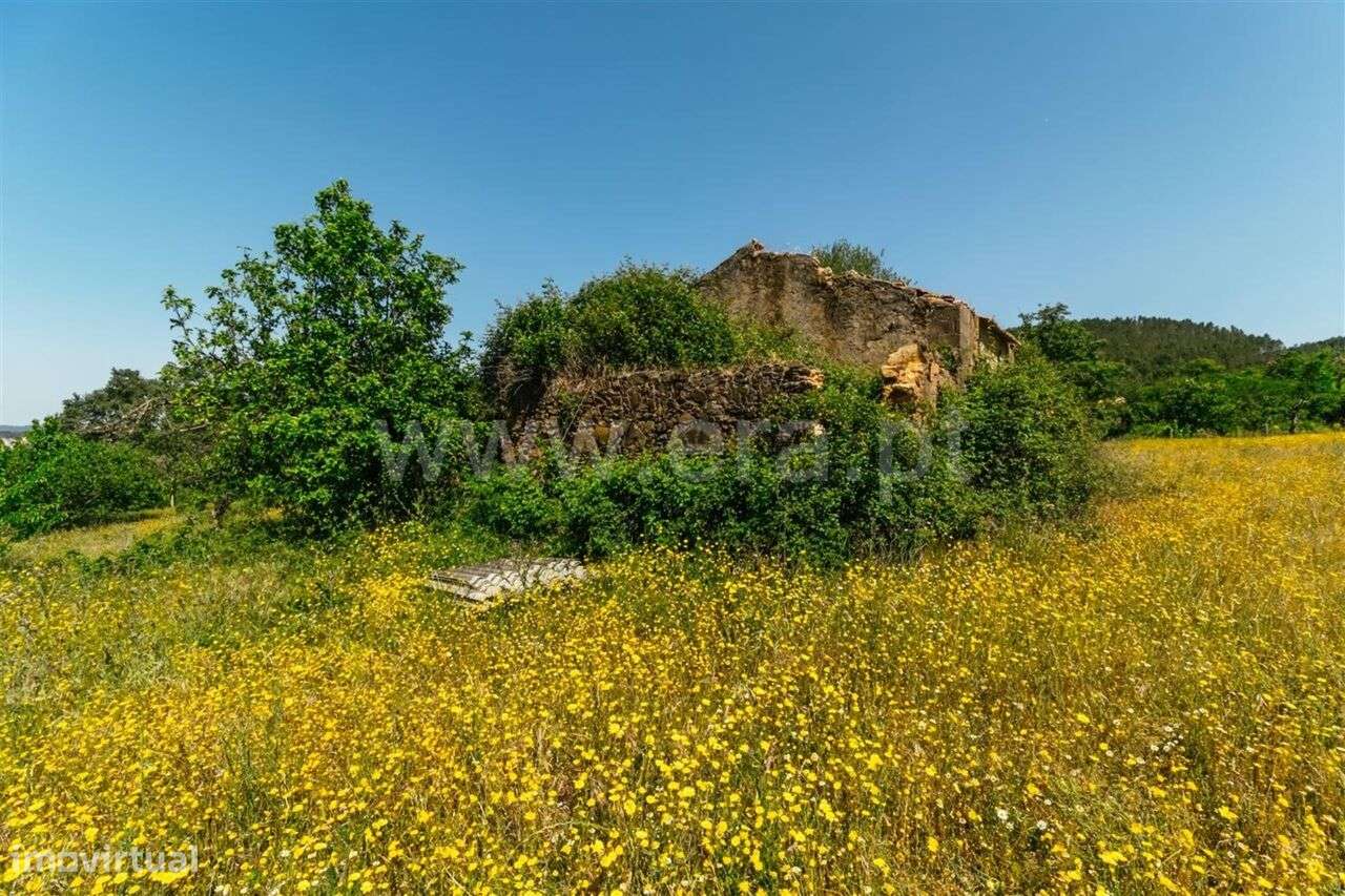 Terreno / Fundão, Donas - Grande imagem: 4/20
