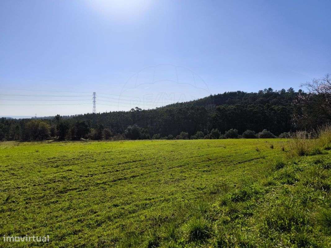 Terreno  para venda - Grande imagem: 5/22