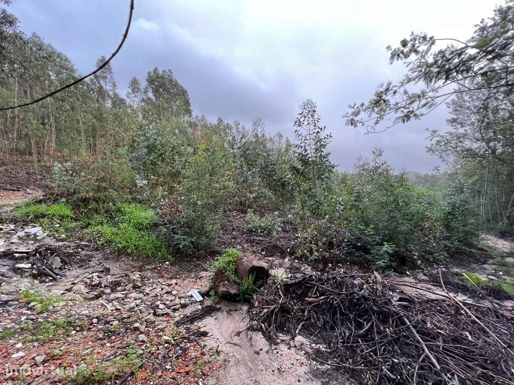 Terreno para construção em São Martinho do Bispo na zona do Avial - Grande imagem: 4/6
