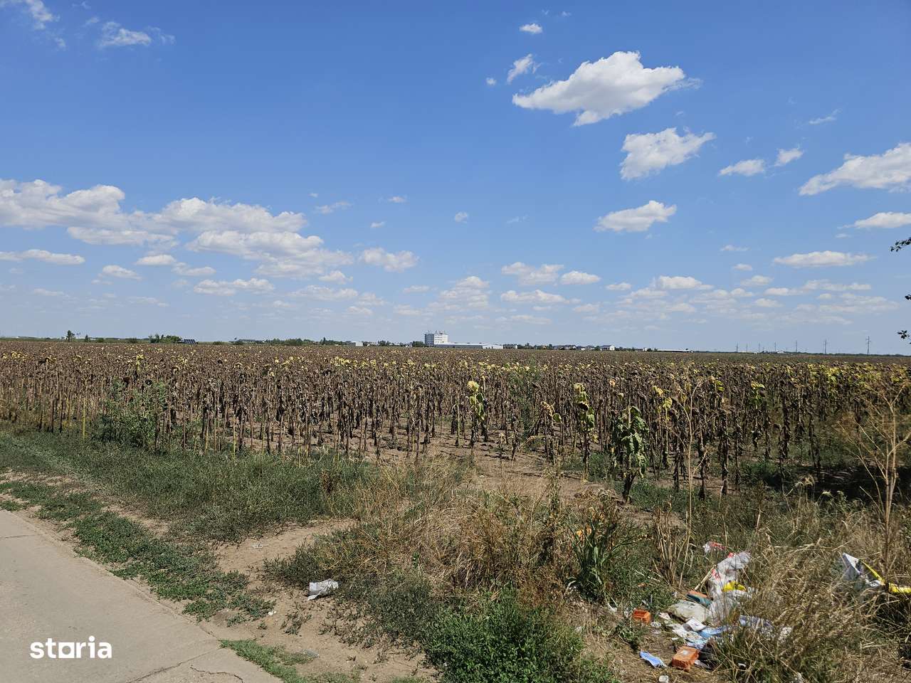 Teren Popesti | A0 | 3.3 HA intravilan | CU P+2 | Comision 0 - Imagine principală: 5/12