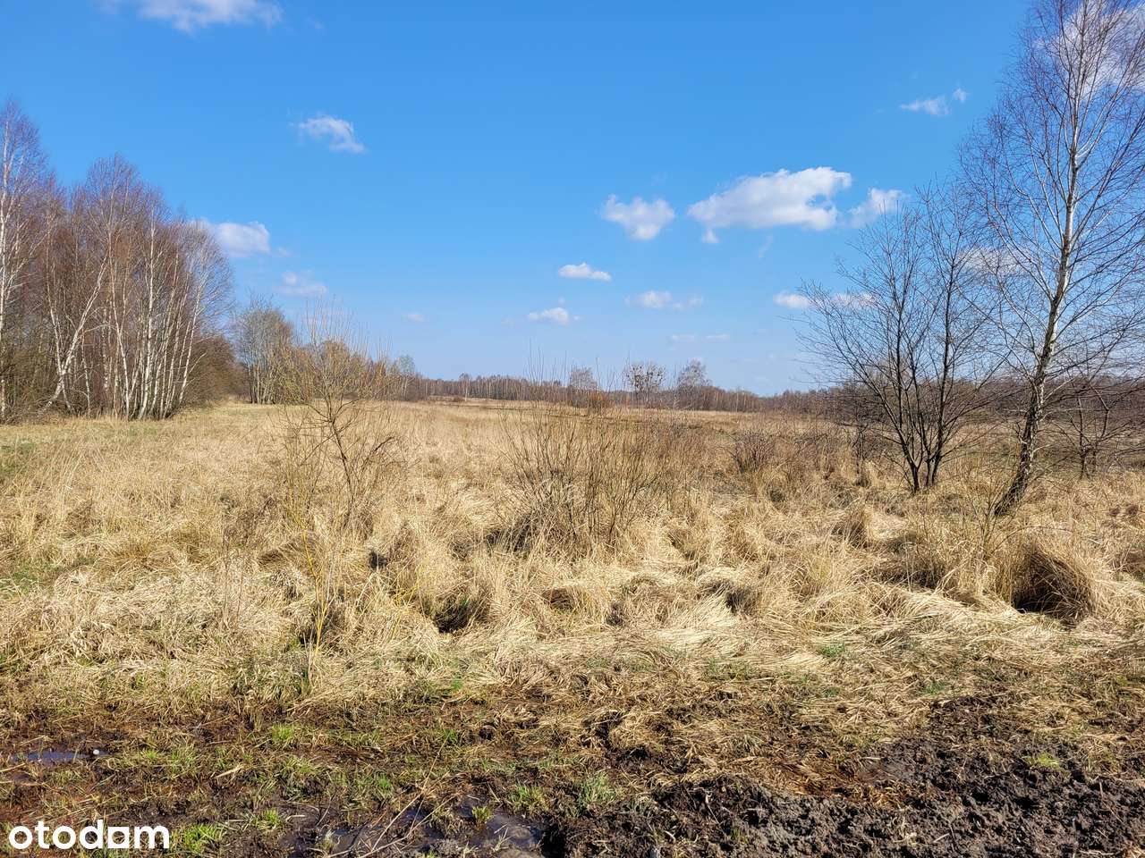 przetarg ofertowy, nieruchomość gruntowa