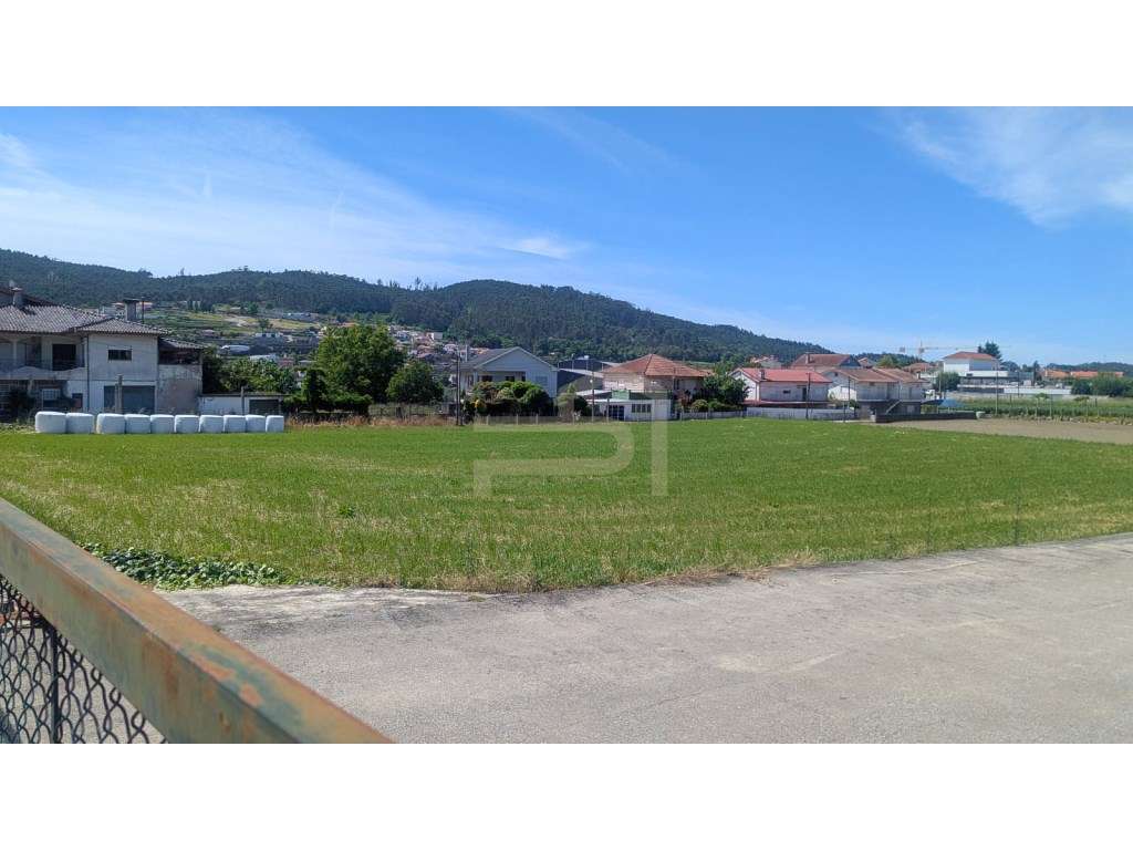 Terreno de construção na freguesia de Telhado - Grande imagem: 4/7