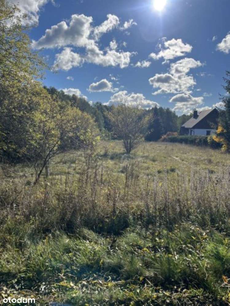 Działka Kopanica/Danowskie - Pełny obrazek: 4/9