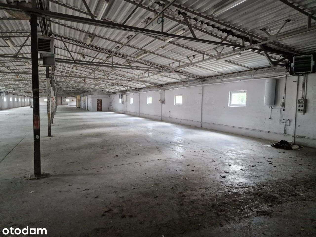 Obiekt przemysłowy , magazyn - hala 2458m2 + biura - Pełny obrazek: 4/20