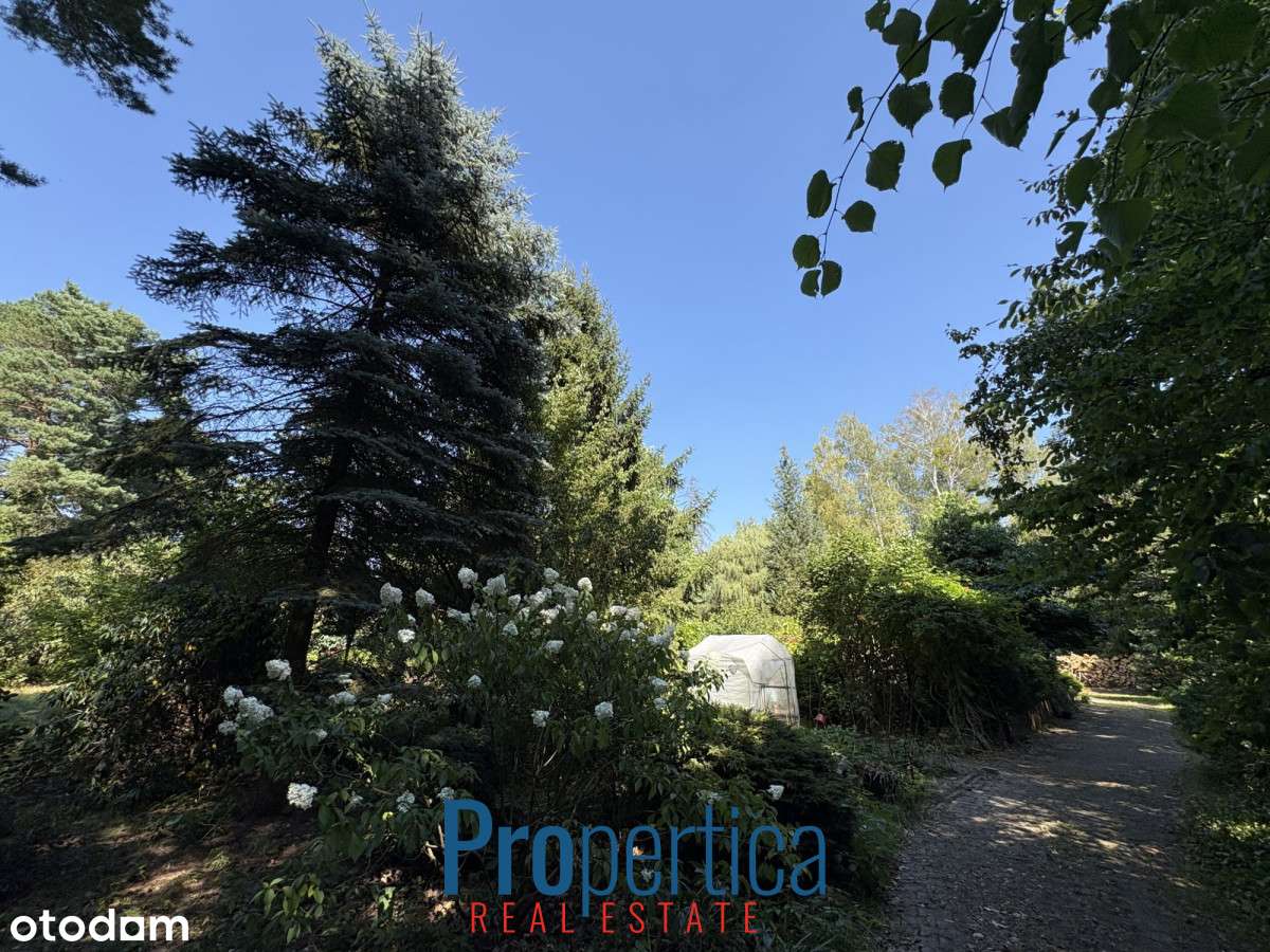 Piękny Ogród - działka w Konstancinie plus dom-7