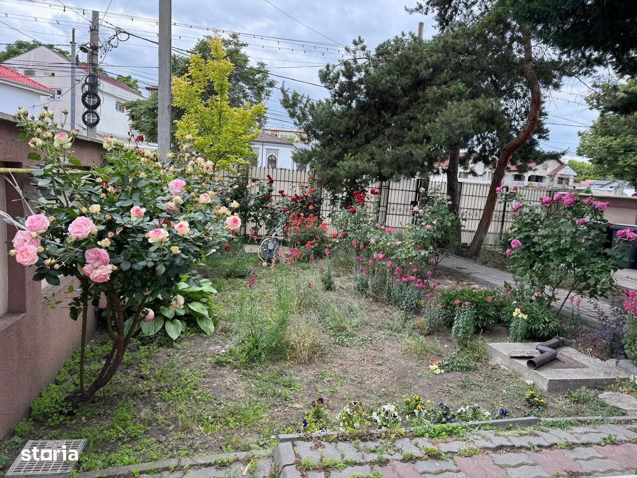 Vila de vanzare ultracentral Focsani, strada N. Titulescu nr. 2 bis-9