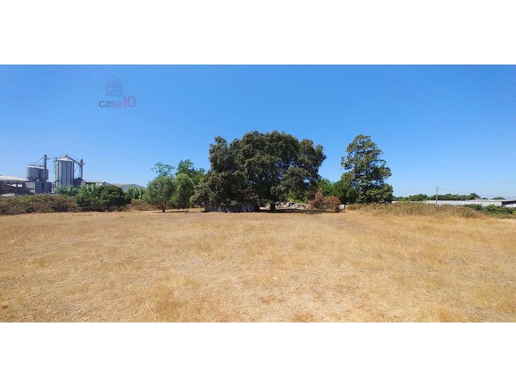 Vende-se Terreno com Possibilidade de Construção, Montijo - Grande imagem: 2/4